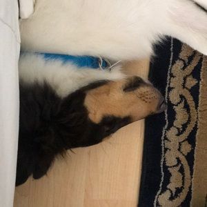 Meet your Posher, Rita